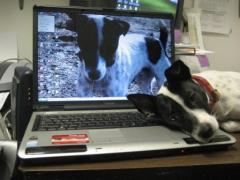 Mom...Stop working....please......